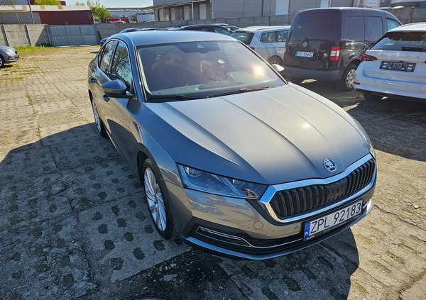 Skoda Octavia cena 134999 przebieg: 7170, rok produkcji 2023 z Brwinów małe 301